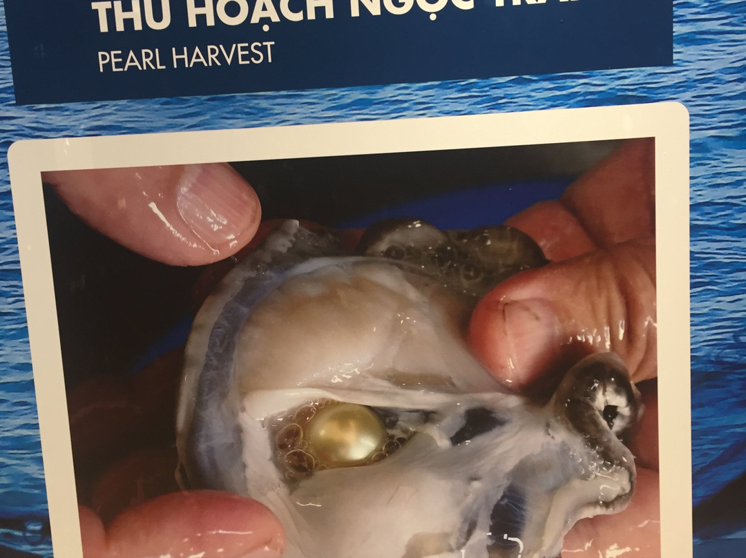 Long Beach pearl-美奈必去景点