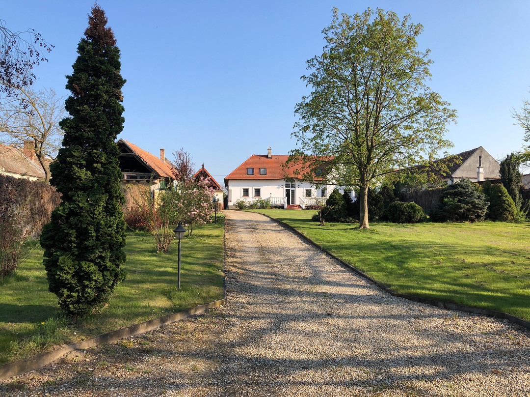 Wallern im Burgenland旅游攻略图片