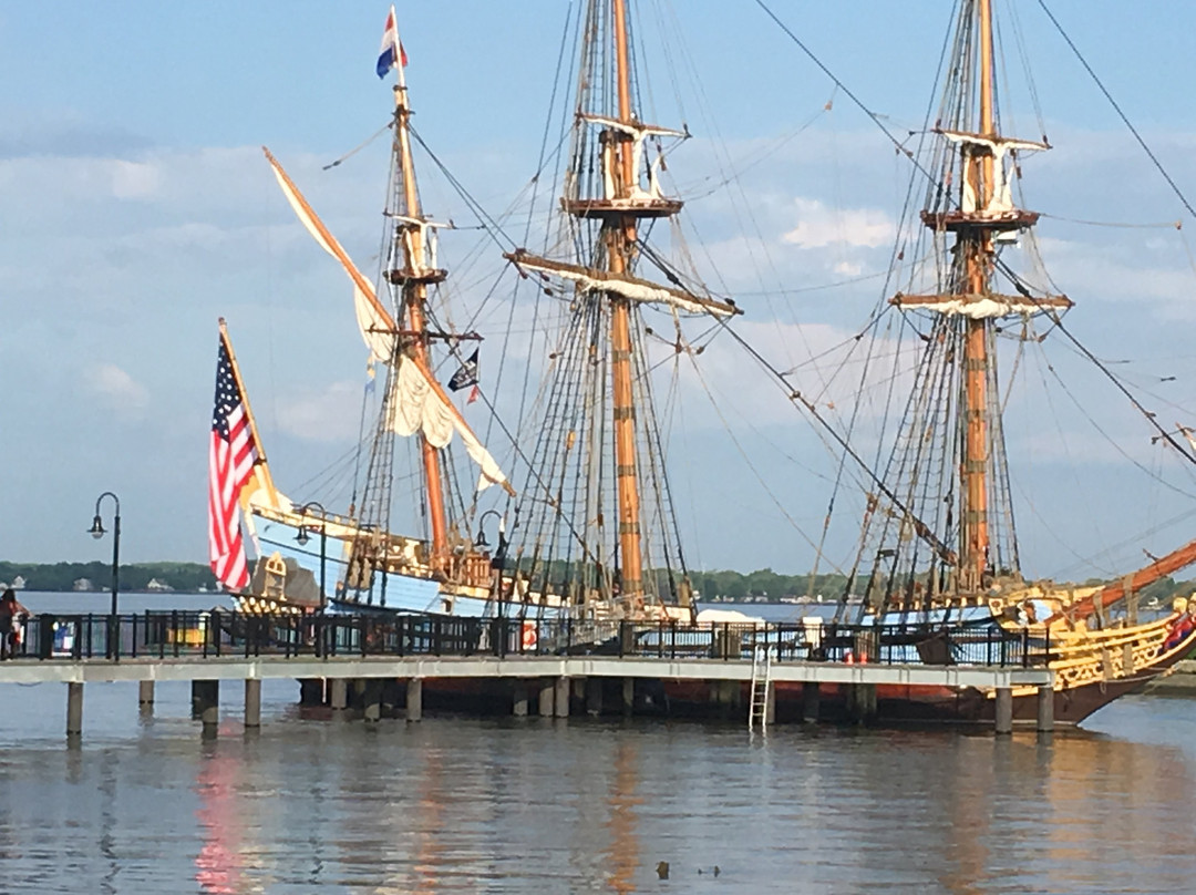 Mo'zart Gallery And Studio-New Castle必去景点