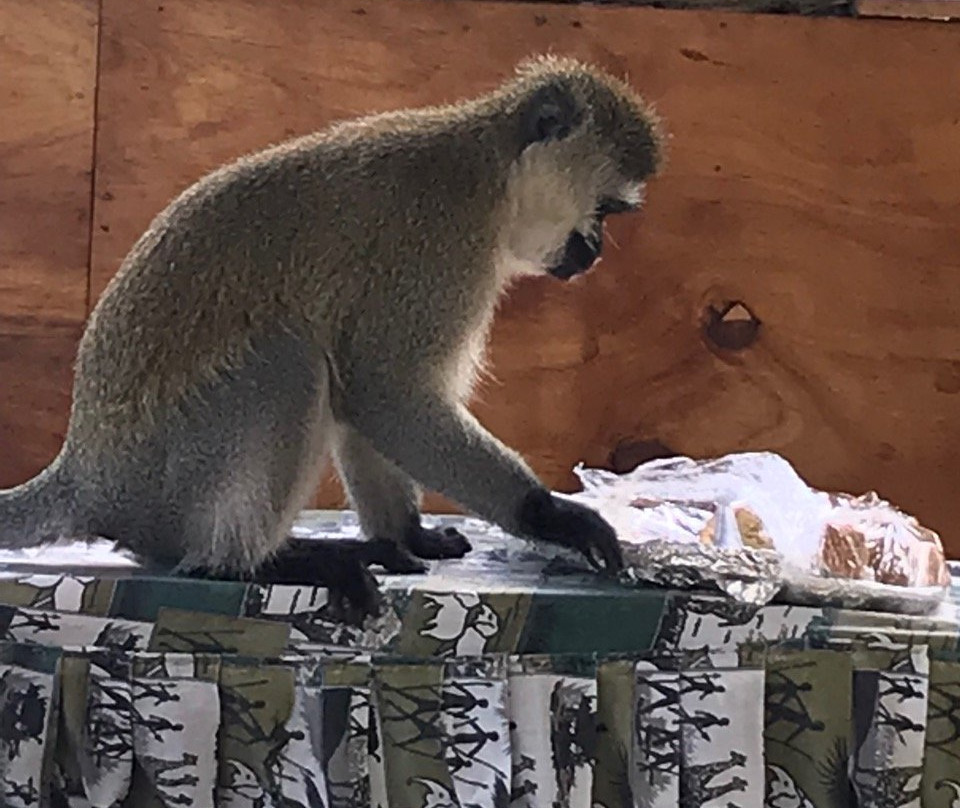 Rays Place Inn主图