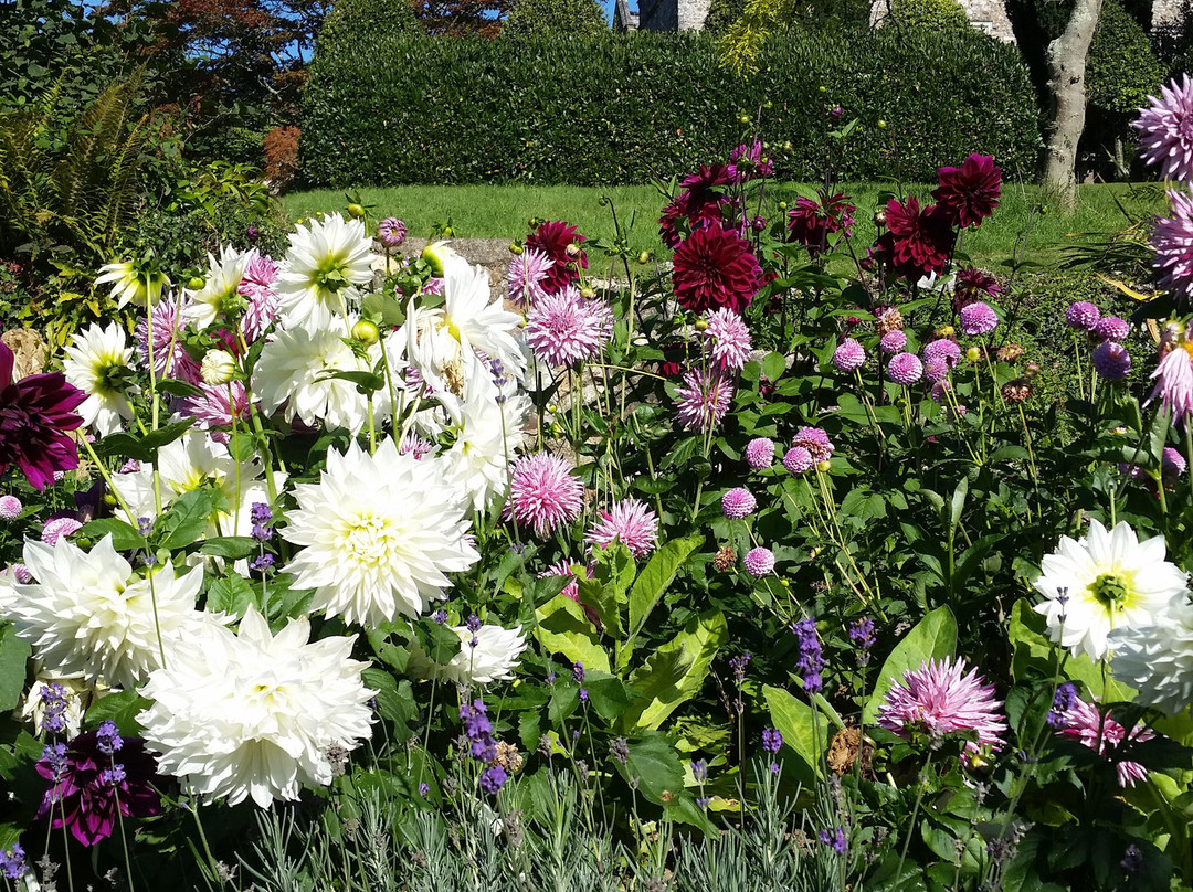 Sand-Sidbury必去景点