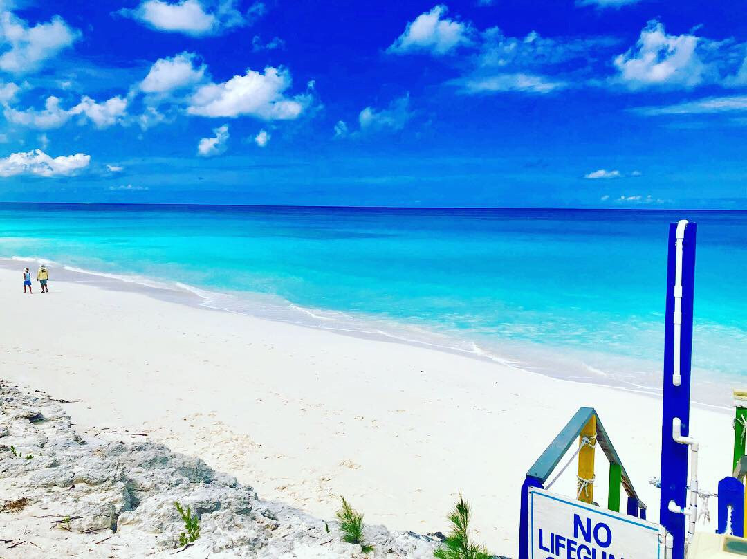 埃克苏马棕榈树酒店主图