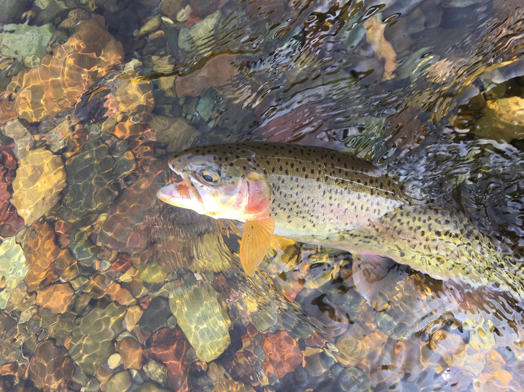 Long Drift Outfitters-Moyie Springs必去景点