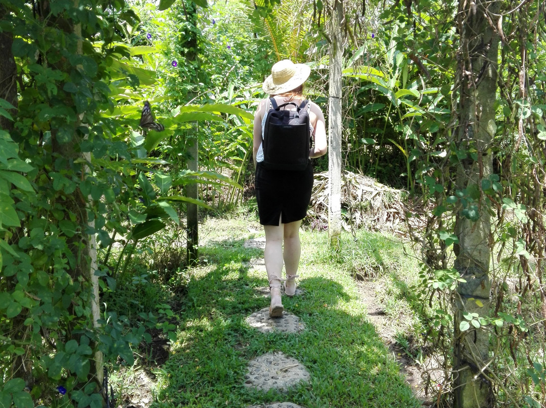 Mai Organic Farm-佩京必去景点