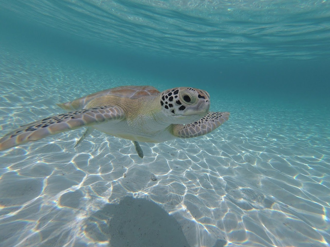 Breezy Hill Exuma Bahamas主图