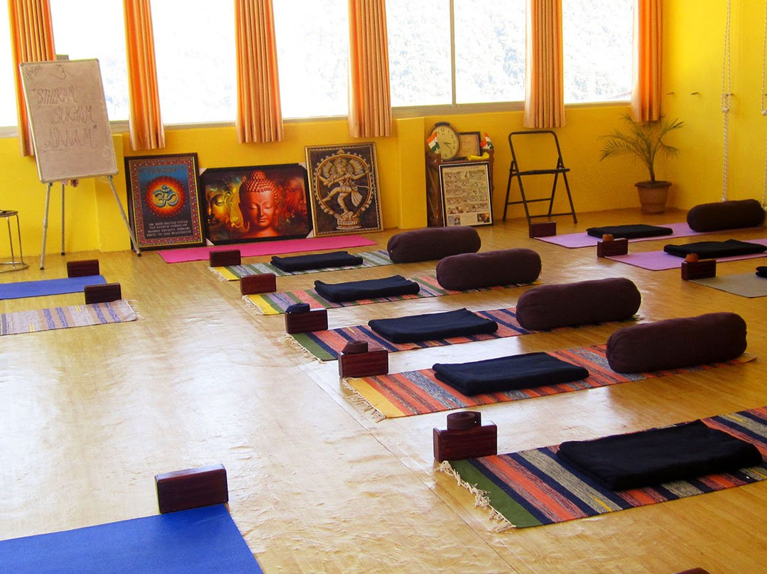 Yog Amritam Yoga Teacher Training景点图片