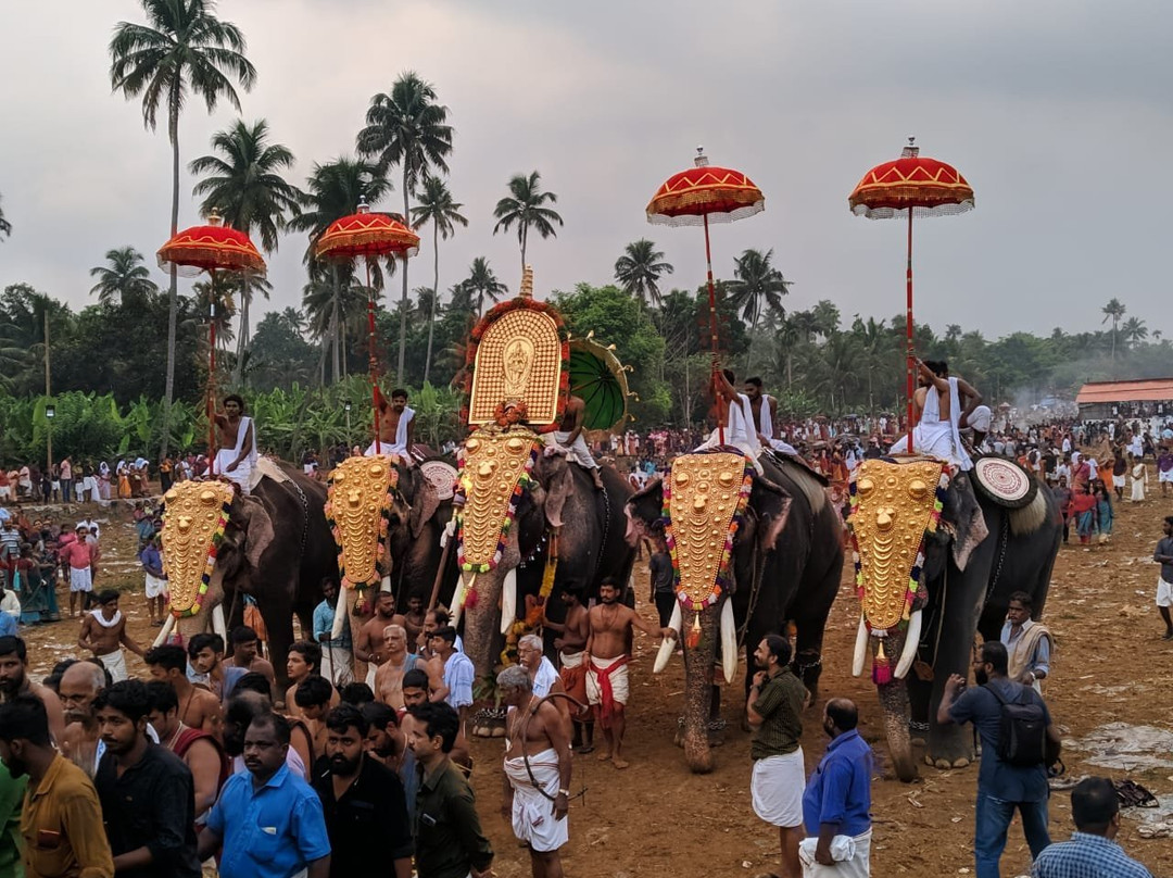 Arattupuzha Temple景点图片