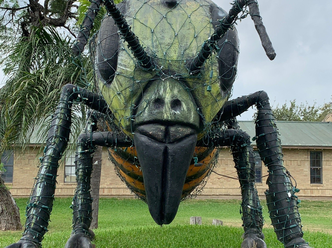 World's Largest Killer Bee-Hidalgo必去景点