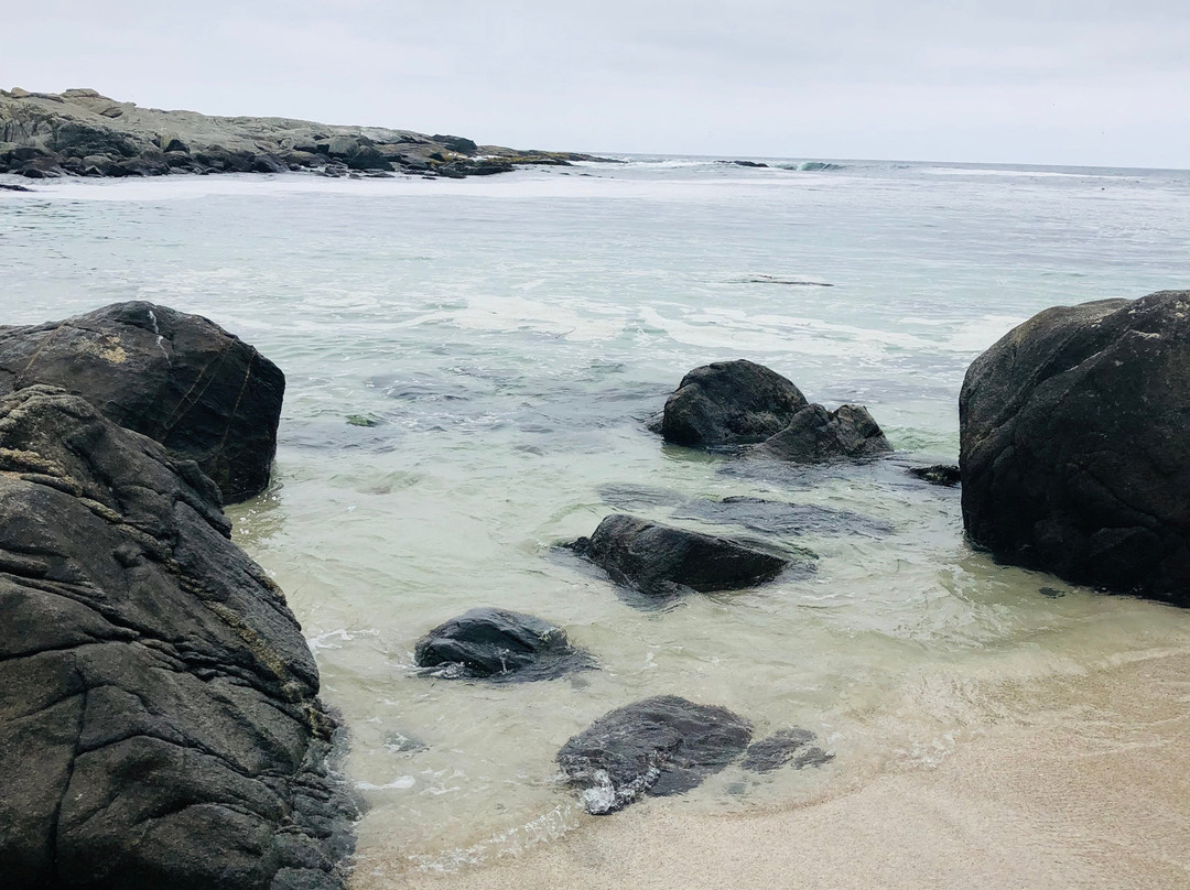 Playa Las Cujas景点图片