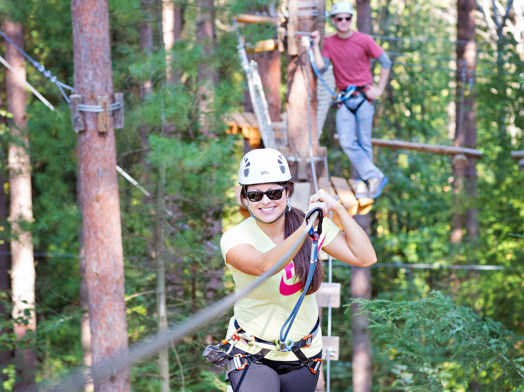 Treetop Trekking - Ganaraska-Campbellcroft必去景点