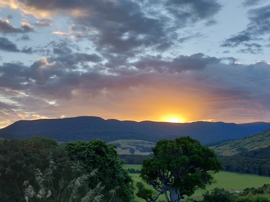 Mohua Park - Catlins Eco住宿