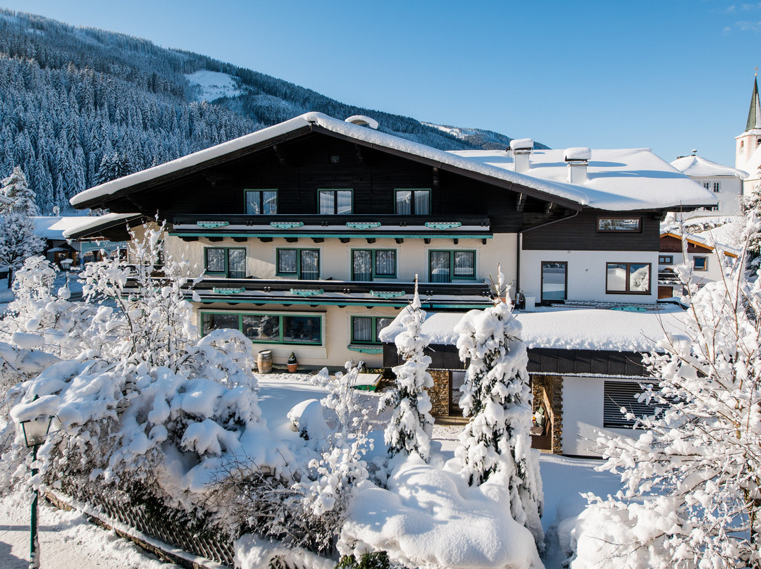 Hotel Alpen Villa Rieder主图