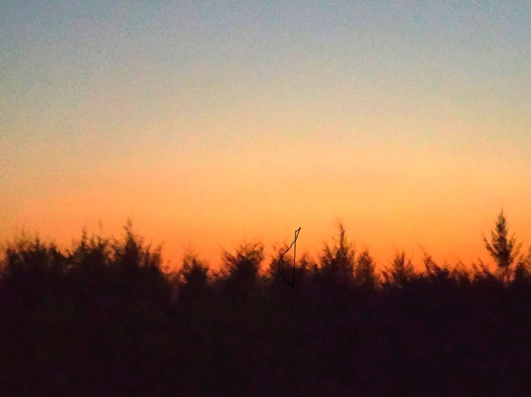 Whistling Waves Beach Resort & Camping主图