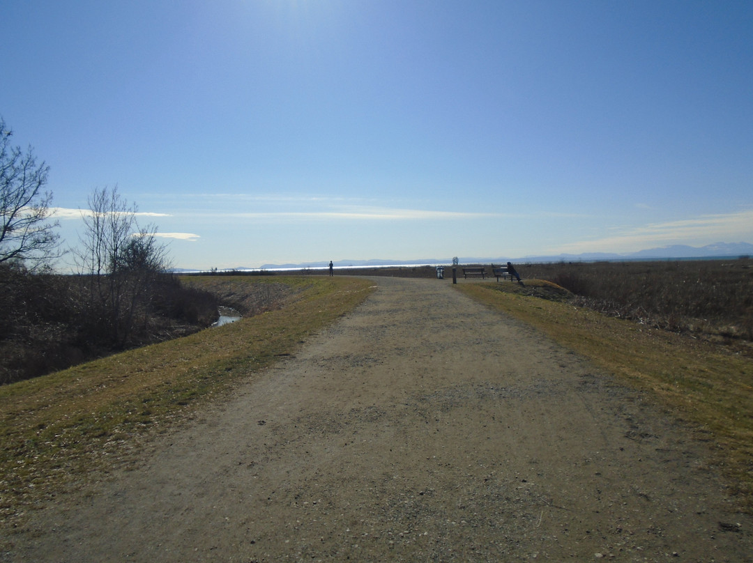 West Dyke Recreational Trail景点图片