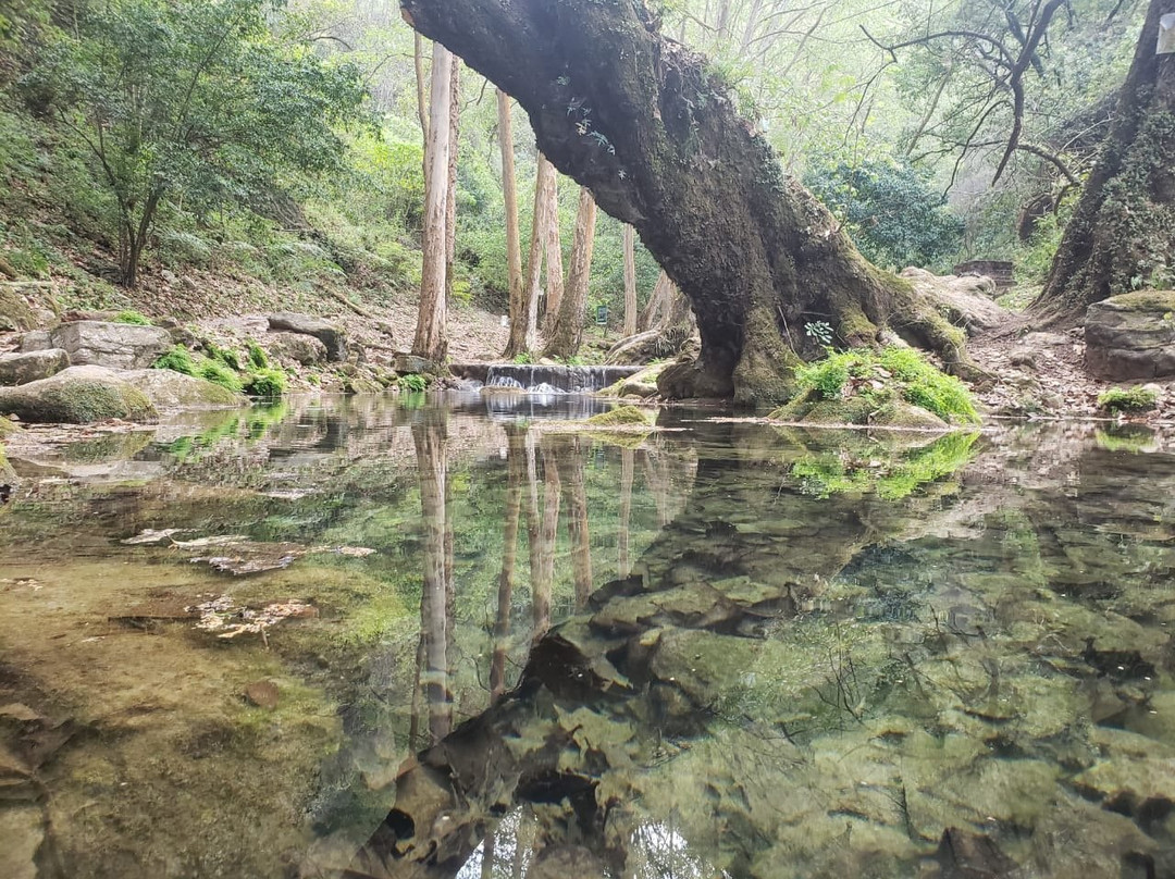 Cascada El Chuveje-Pinal de Amoles必去景点