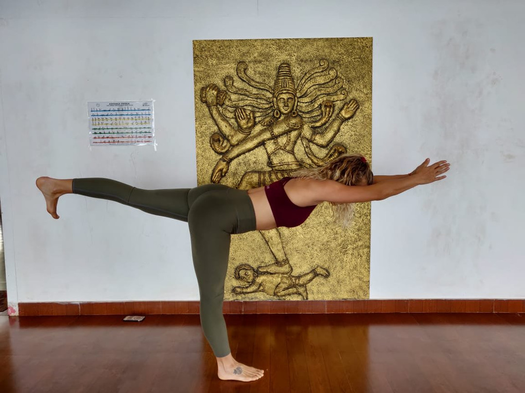 Satwik School of Yoga & Meditation-瓦卡拉必去景点