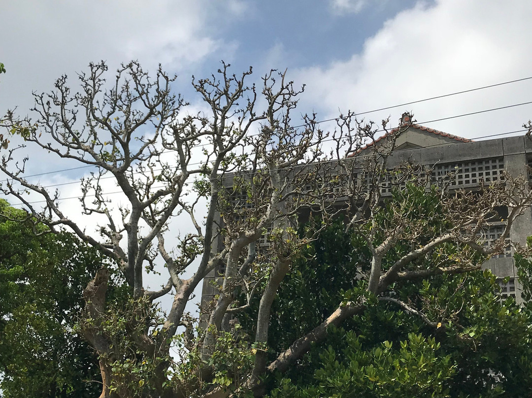 The Site of Shuri City Office-那霸市必去景点