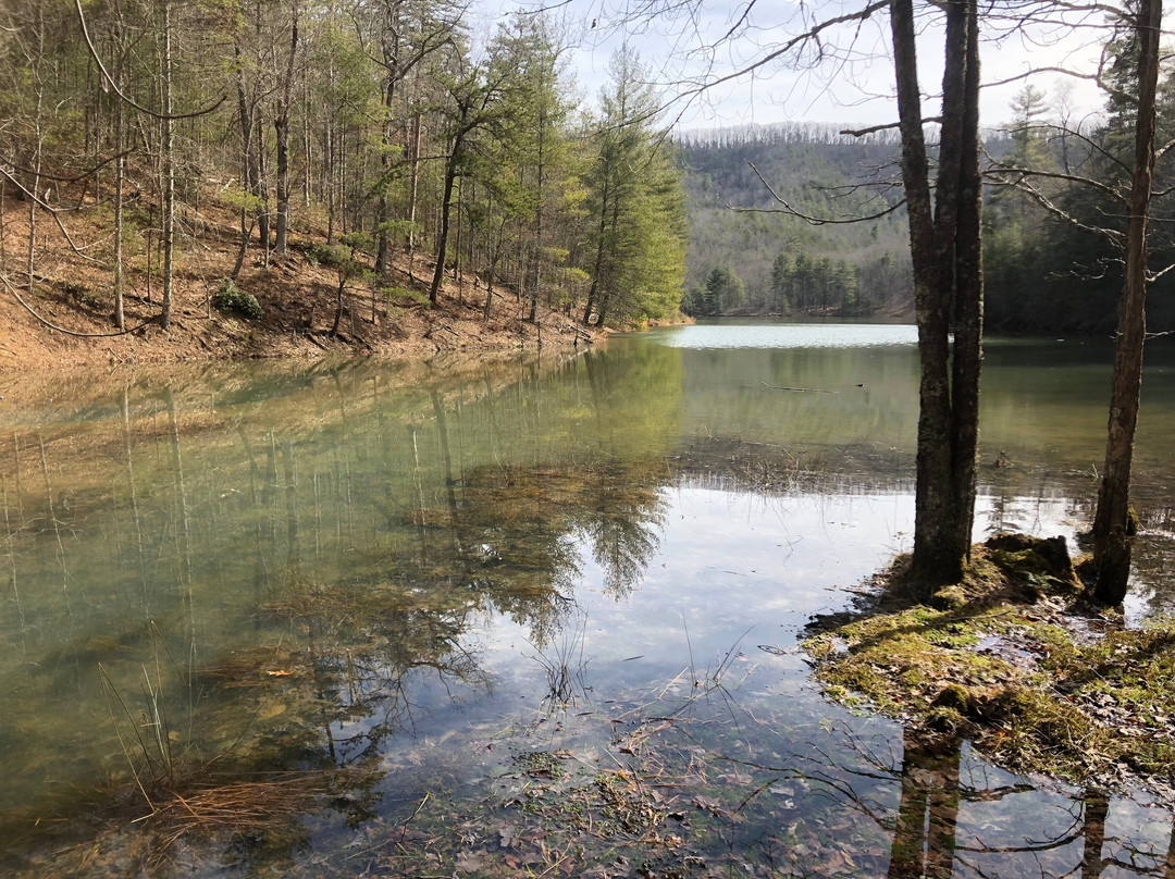 Gatewood Park-Pulaski必去景点