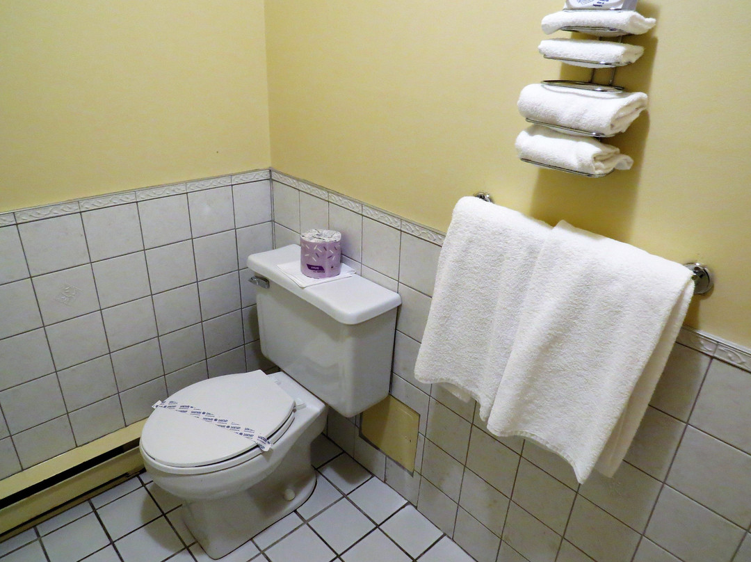 Travelodge by Wyndham Victoriaville主图