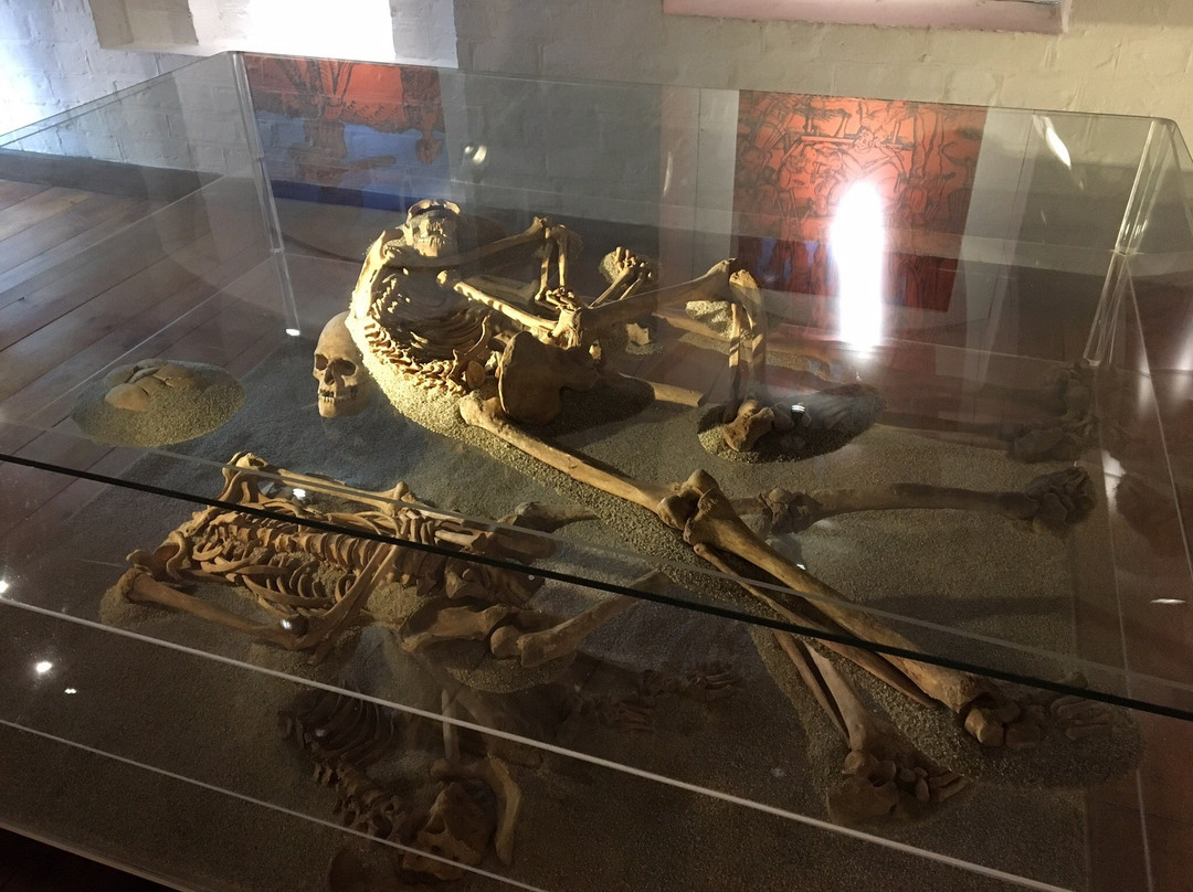 Naestved Museum Boderne-奈司特维德必去景点