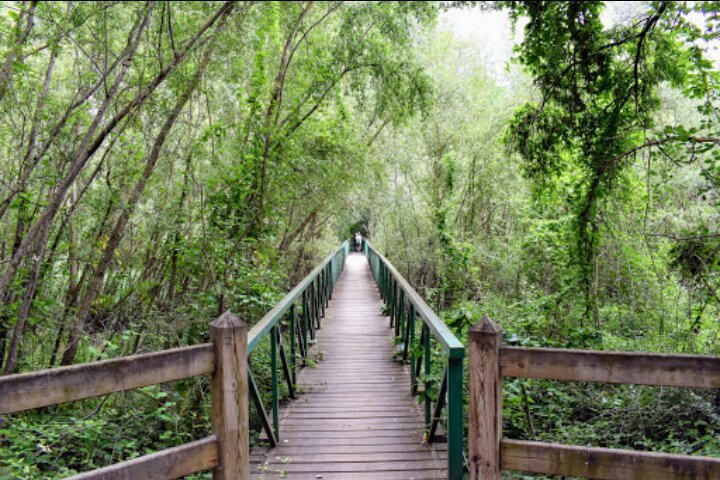 Parque Natural Municipal de la Mitjana-列伊达必去景点