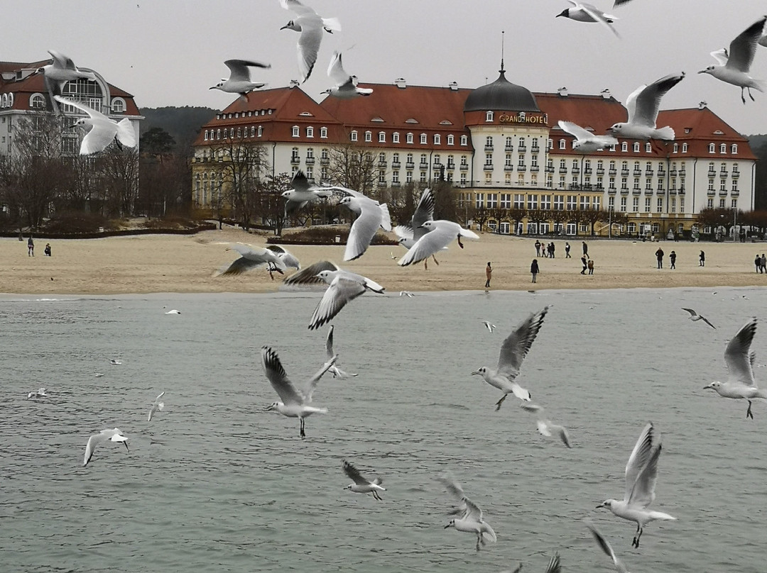 Sopot Pier景点图片
