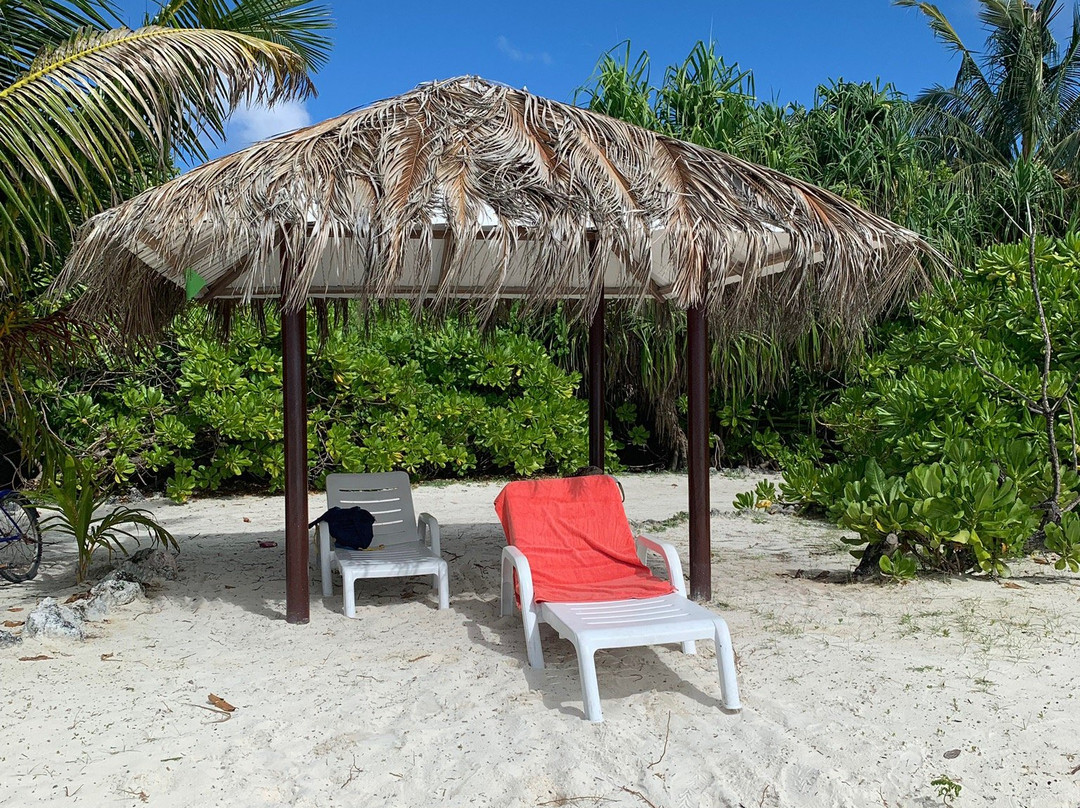 阿姆拉宫酒店主图