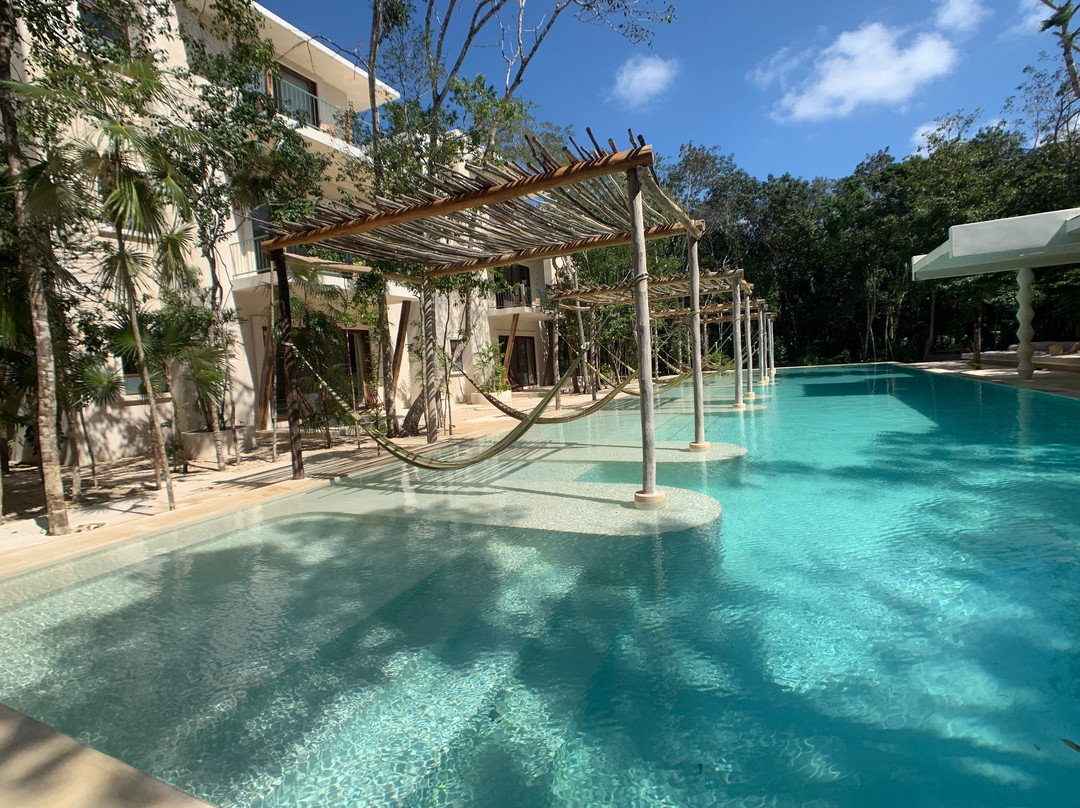 Hotel Holistika主图