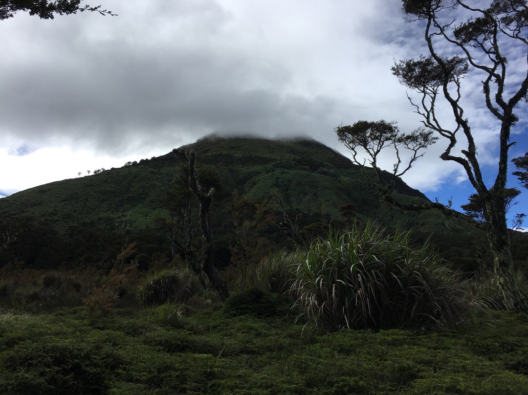 Mount Apo景点图片
