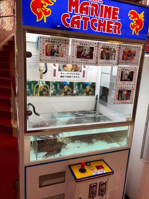 萨姆松酒店主图