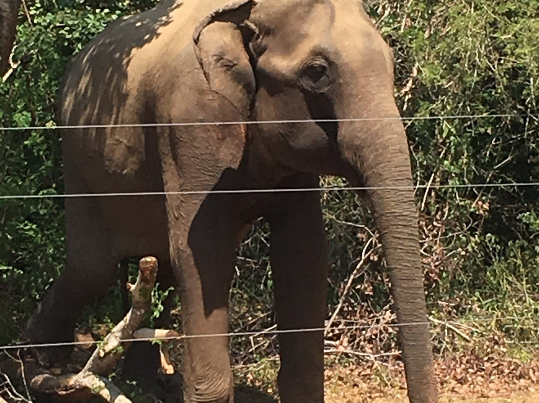 Ella Taxi-埃勒必去景点