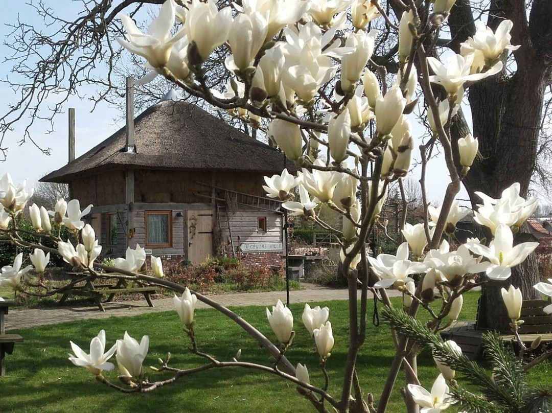 B&B Balgoy De Holtsehoek主图