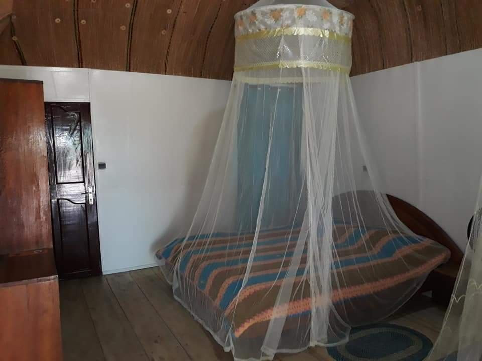 La Case De Crusoe主图