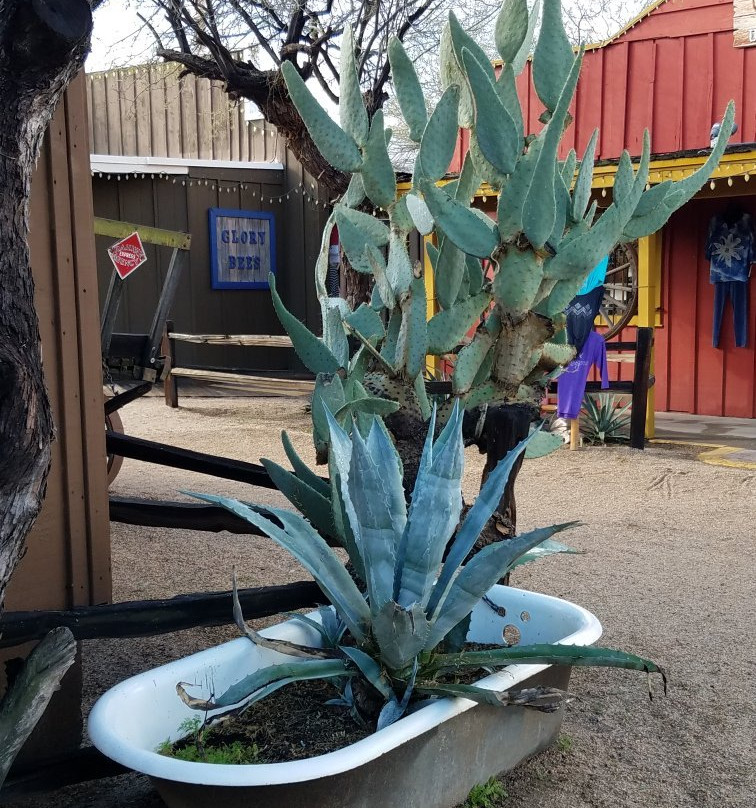 Frontier Town-洞溪必去景点