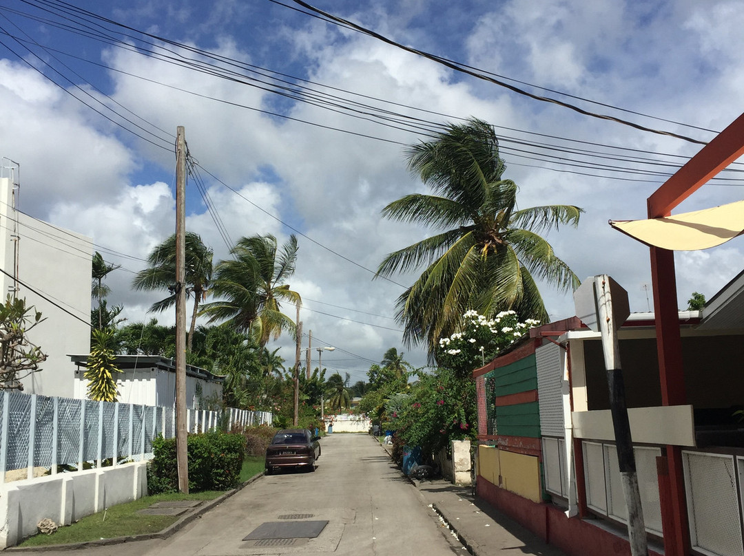 Dover Woods Guesthouse主图