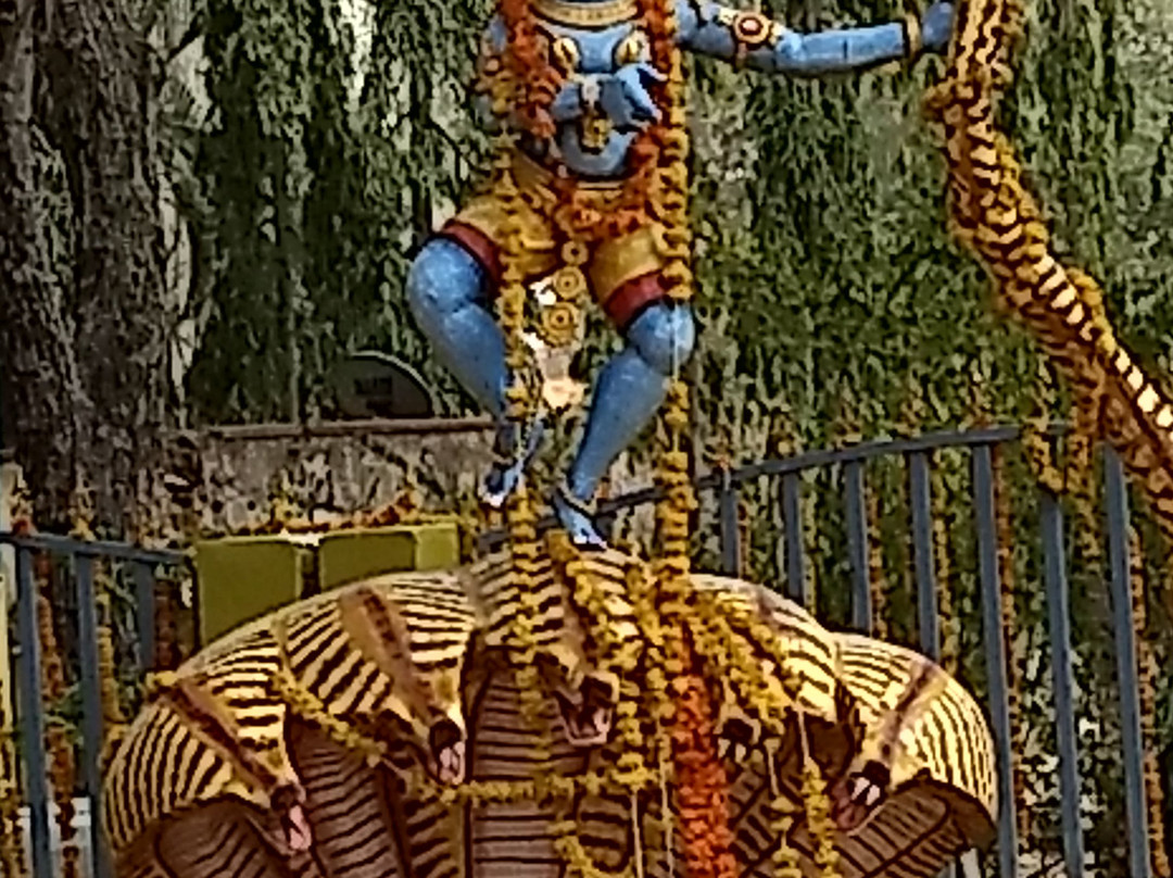 Bangaru Tirupati景点图片