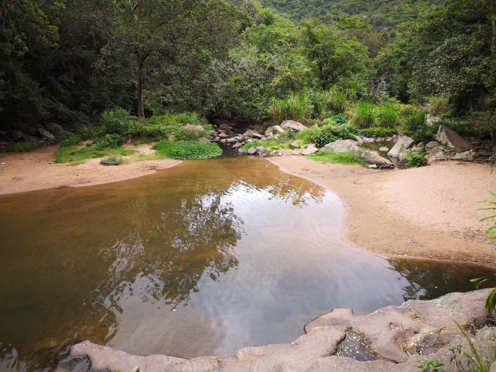 Paradise Valley Nature Reserve景点图片