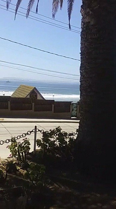 Hotel Lord Willow主图