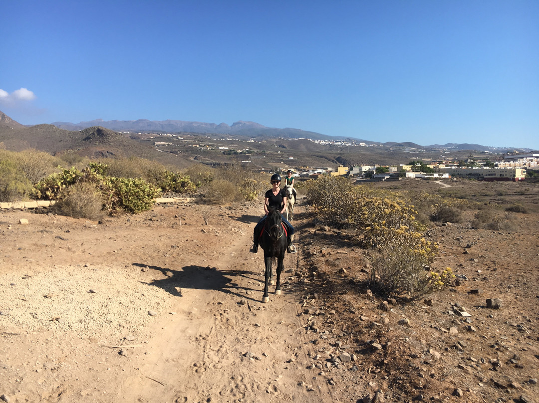 Horse Riding Adventures in Tenerife景点图片