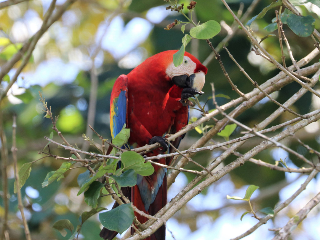 La Paloma Lodge Drake Bay主图
