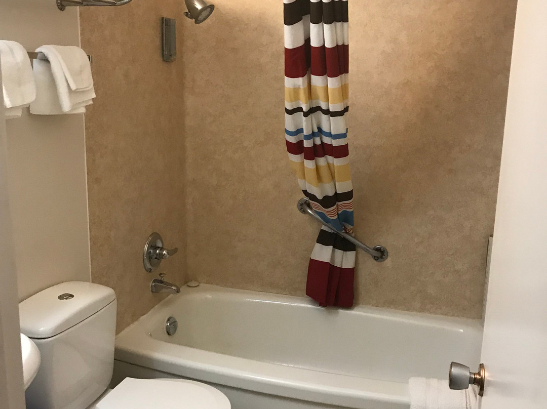 Safari Inn Motel主图