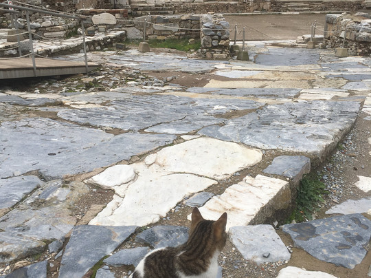 Castle Travel-库萨达斯必去景点