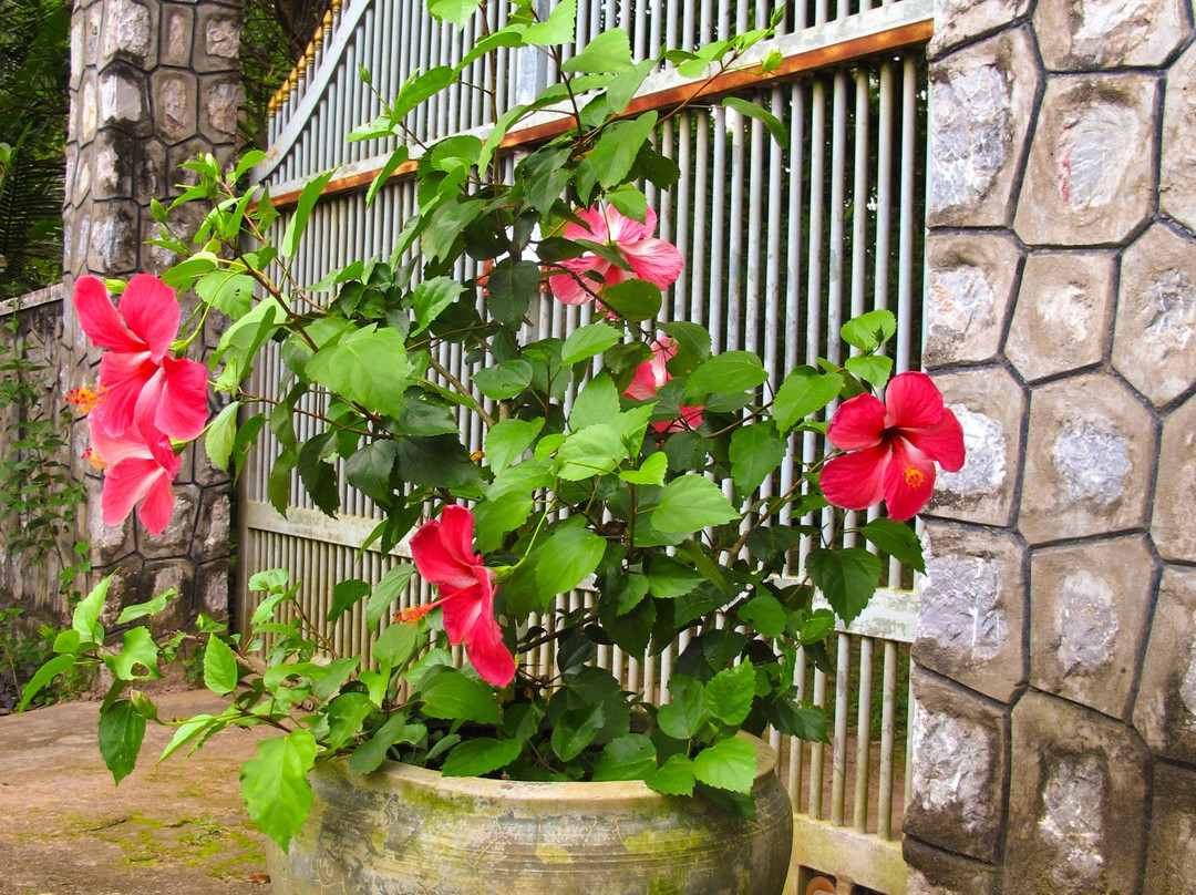 Casa Kep Garden Café And Guesthouse