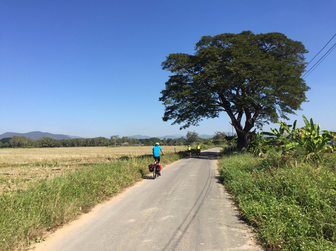 Click and Travel - Day Tours and Rentals-清迈必去景点