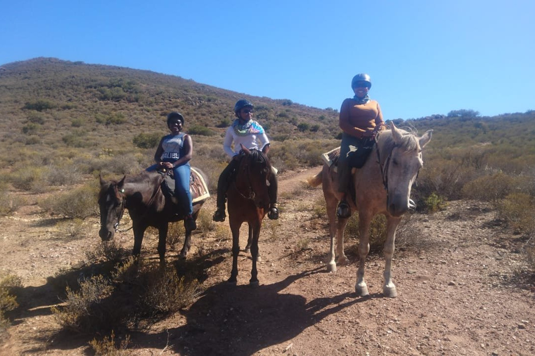 Heidiland Horseback Adventures-蒙提古必去景点