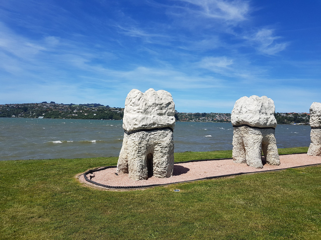 Harbour Molars-但尼丁必去景点