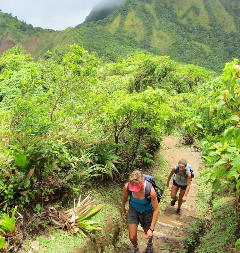 Waitukubuli Adventure Tour Co.景点图片