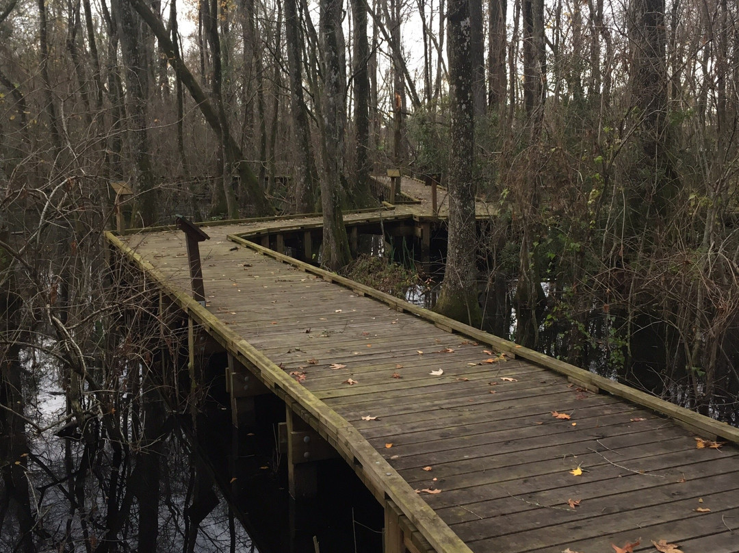 LSU AgCenter Botanic Gardens-巴吞鲁日必去景点