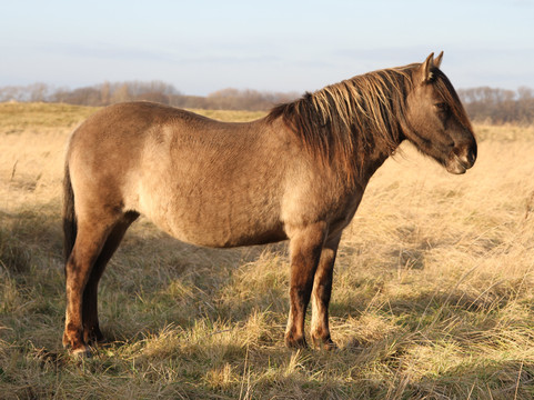 Lentevreugd-Wassenaar必去景点