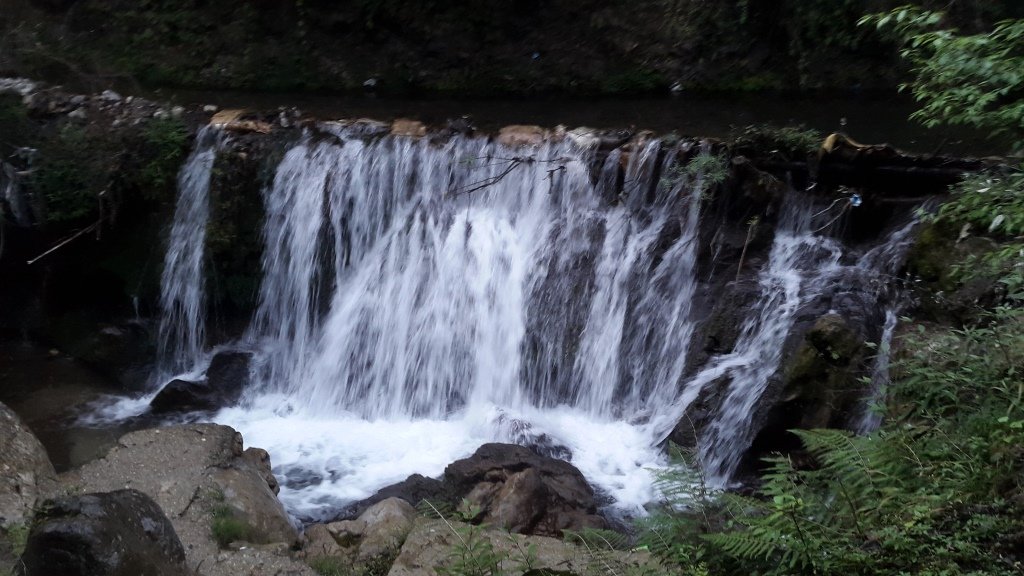 Lakemist Resort-浴室